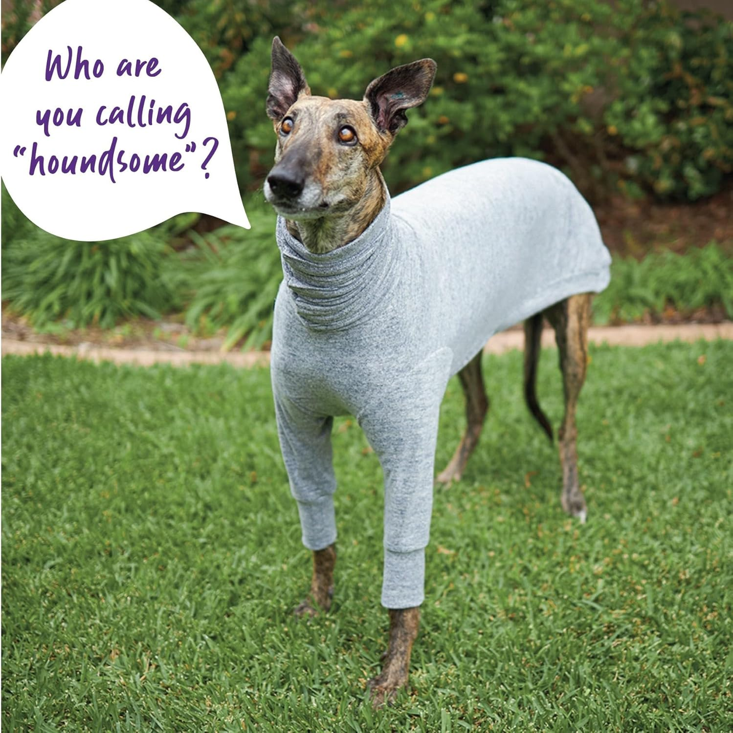 Kazoo Greyhound Softie Dog Jumper, Grey, Small
