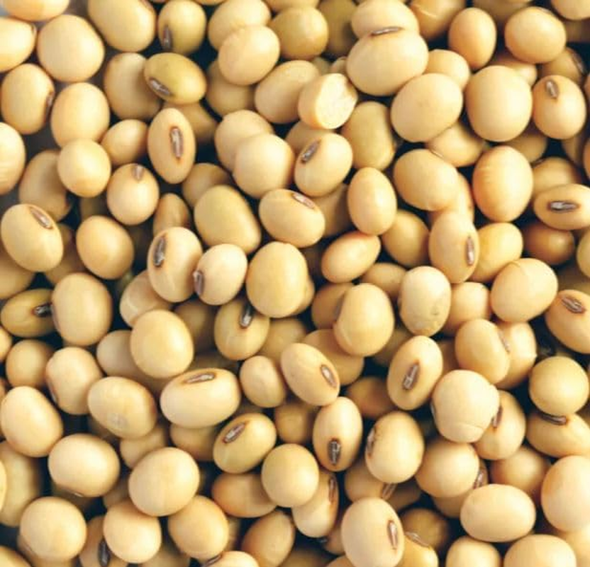 Soya Beans Soy Beans for Soy Milk Tofu - (1Kg)