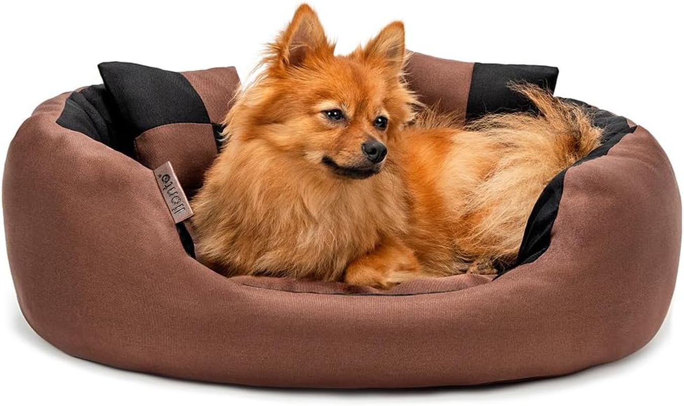 Dibea Warm Basket Tearproof/Waterproof Cushion Dog/Cat Bed with Pillow, 65 X 50 X 20 Cm, Black/Brown