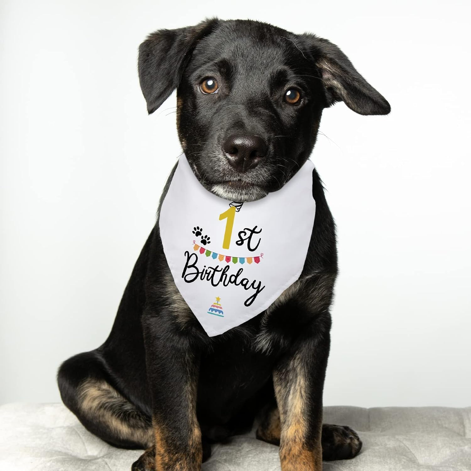 Dog Birthday Bandana Dog Birthday Party Supplies Pet Dog Lover Gifts Happy Birthday Triangle Scarf for Pet Puppy 1St Birthday Party Decoration (White, One Size)