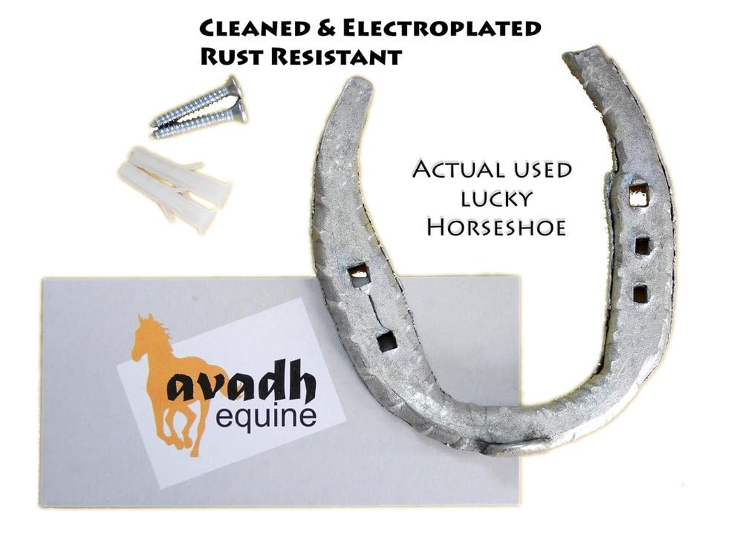 Actual Used (Worn) Working Horse Lucky Horseshoe - Cleaned and Electroplated - the Lucky Type - Silver... image number 1