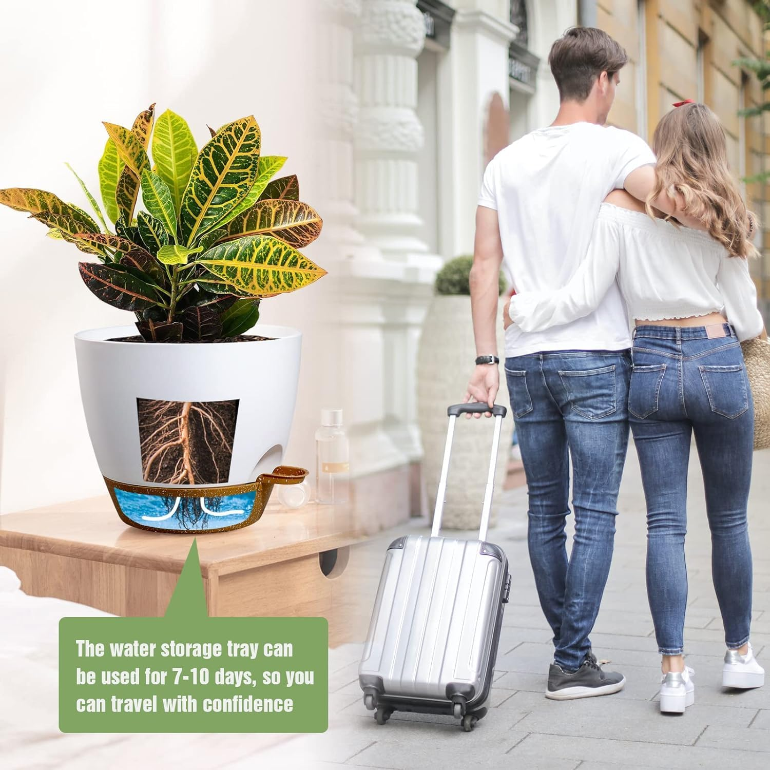 6 Pcs Plant Pots, 8/7/6.5/6/5.5/5 Inch Self Watering Plant Pots with Drainage Holes,Modern Decorative Plastic Pots for Plants with Drainage Hole and Tray for All House Plants