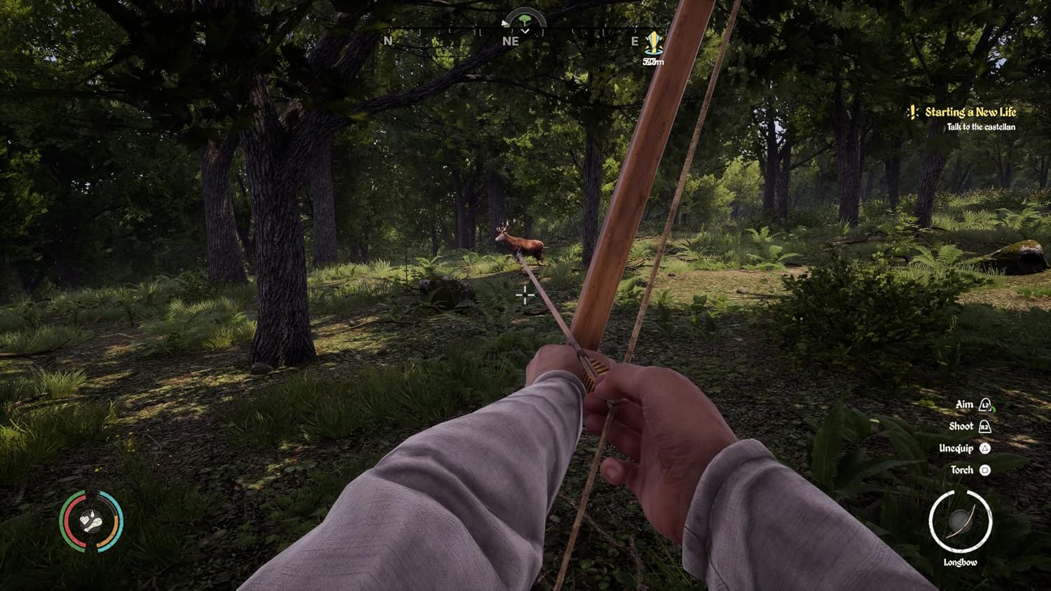 Merge Games Playstation 5 Medieval Dynasty image number 3