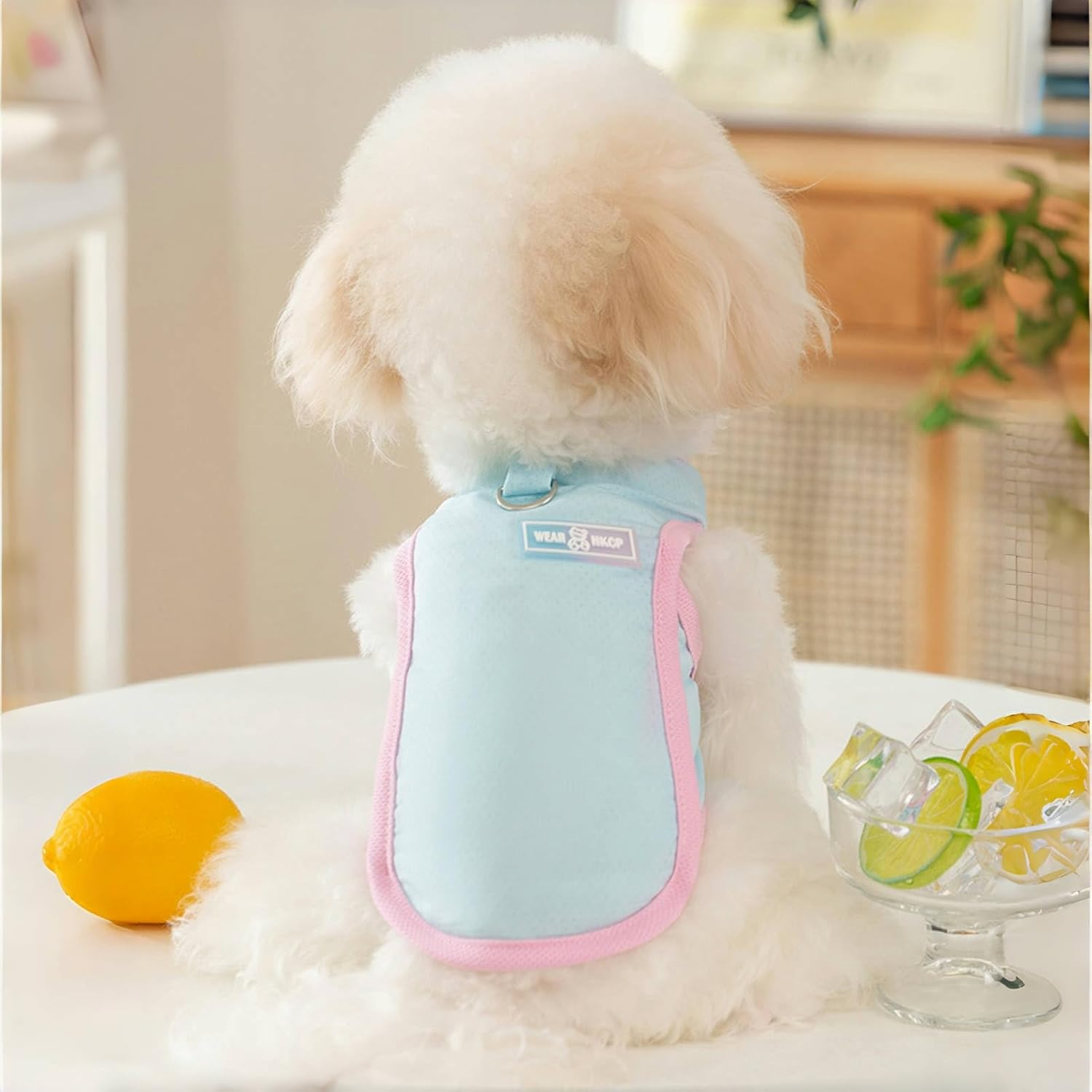 Yaopelky Dog Cat Dog Cooling Vest Summer Clothes with D Ring Breathable Quick Dry T Shirt Sun Protection Outdoor Activities (Blue, L, 4-5.5 image number 3