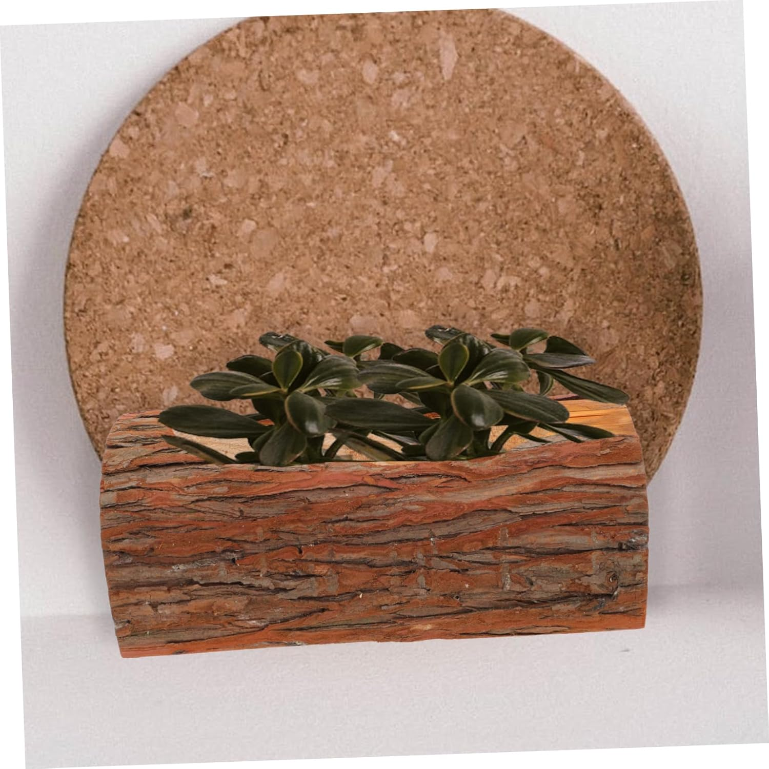 Rustic Wooden Flowerpot for Outdoor Plant Succulent Garden Decor Plant Pot image number 4