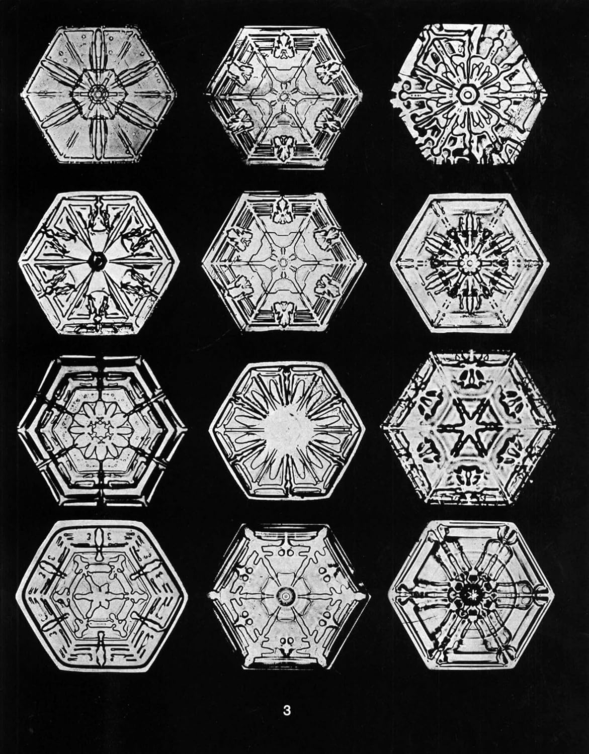 Snowflakes in Photographs image number 3