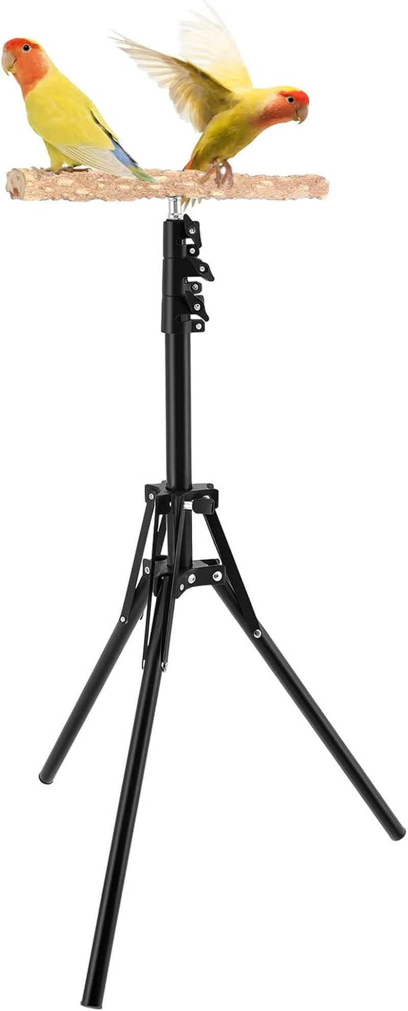 DJAPWPX Wood Bird Perch Stand, Easy to Install Bird Shower Perch, 16-63 in Height Adjustable Parrot Training Stand, Parrot Rack for Indoor and Outdoor image number 4