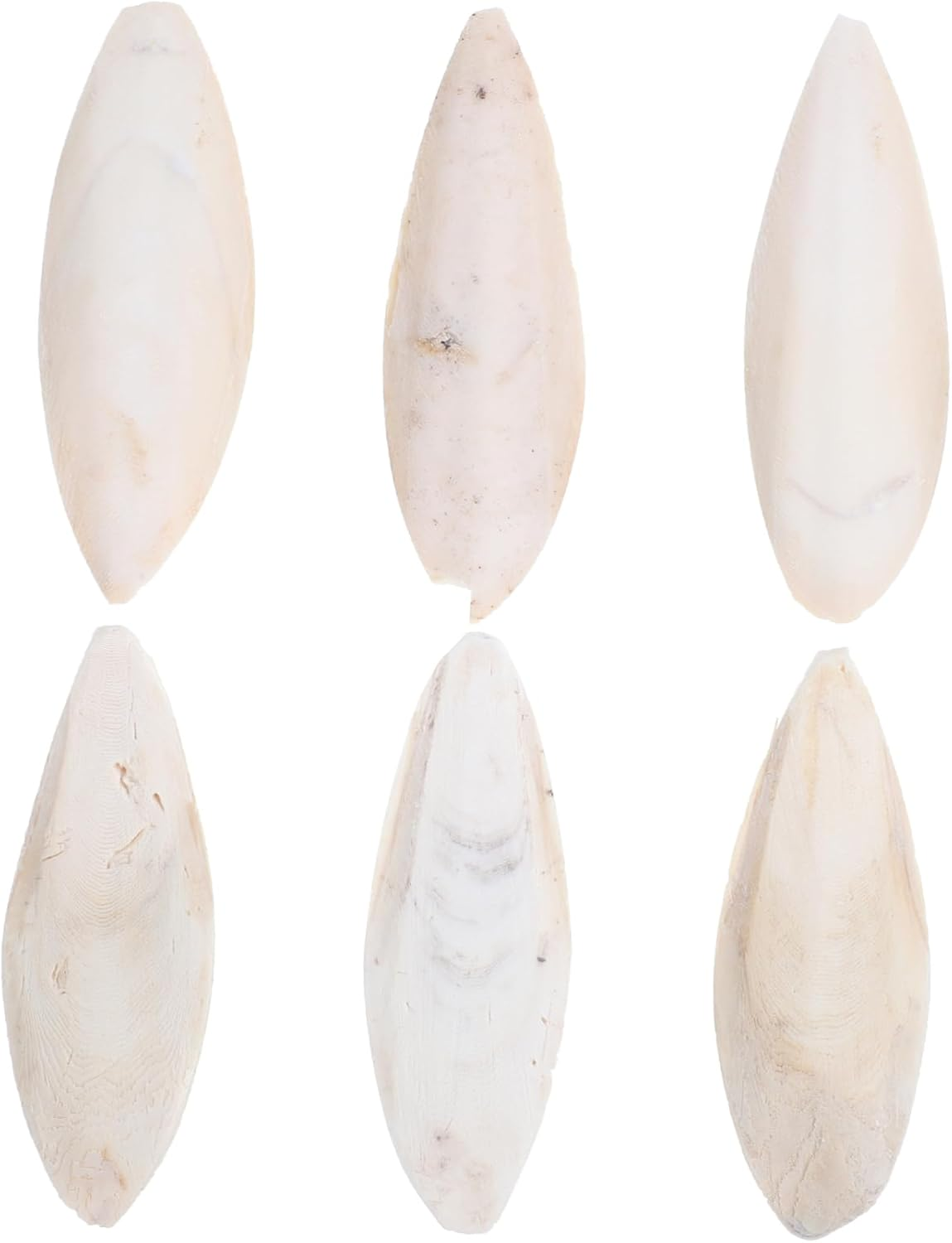 Luxshiny 6 Pcs Natural Cuttlefish Bone Chewing for Birds Safe Polished Bird Cage Accessories for Cockatiels Parrots Promotes Healthy Beak Development image number 4