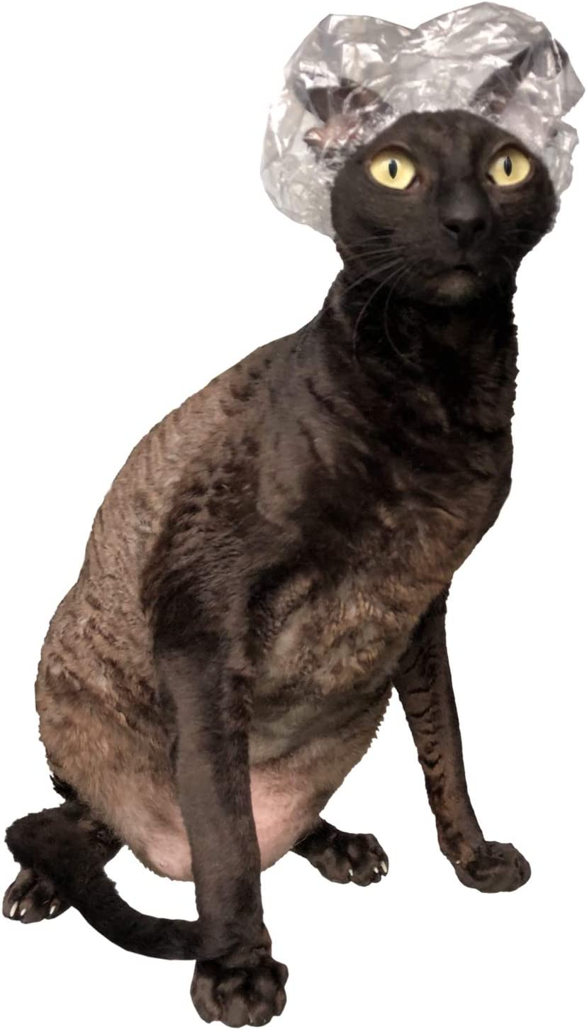 Kotomoda 20 Shower Caps for Sphynx Cats and Other Hairless Cats in a Tin Gift Box image number 1