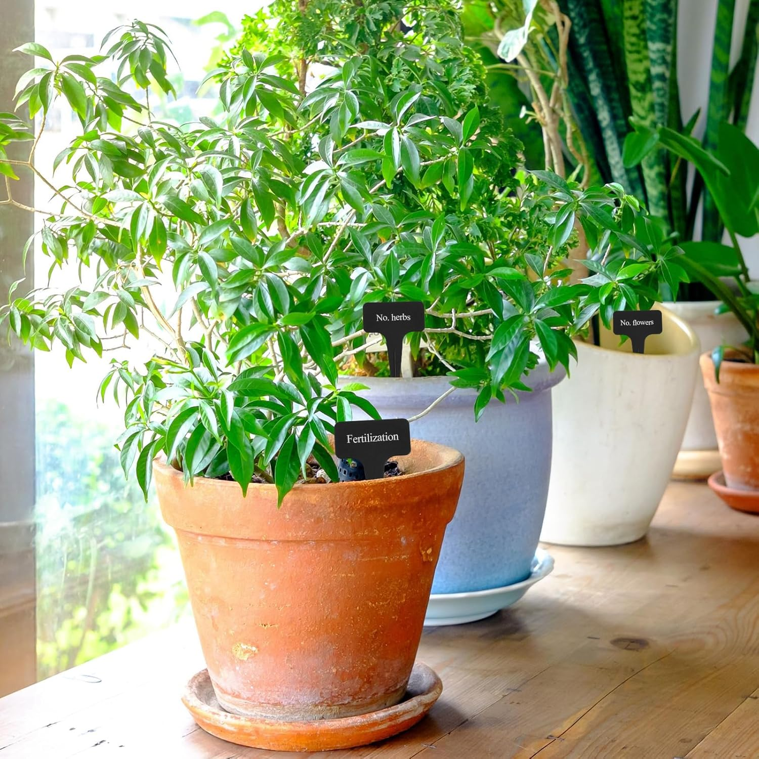 100 Pcs Black Plant Tags, Garden Label Potted Plants, Reusable T-Type Garden Labels Nursery Stake Tags, Plant Name Labels, for Outdoor Plants Herbs Flowers