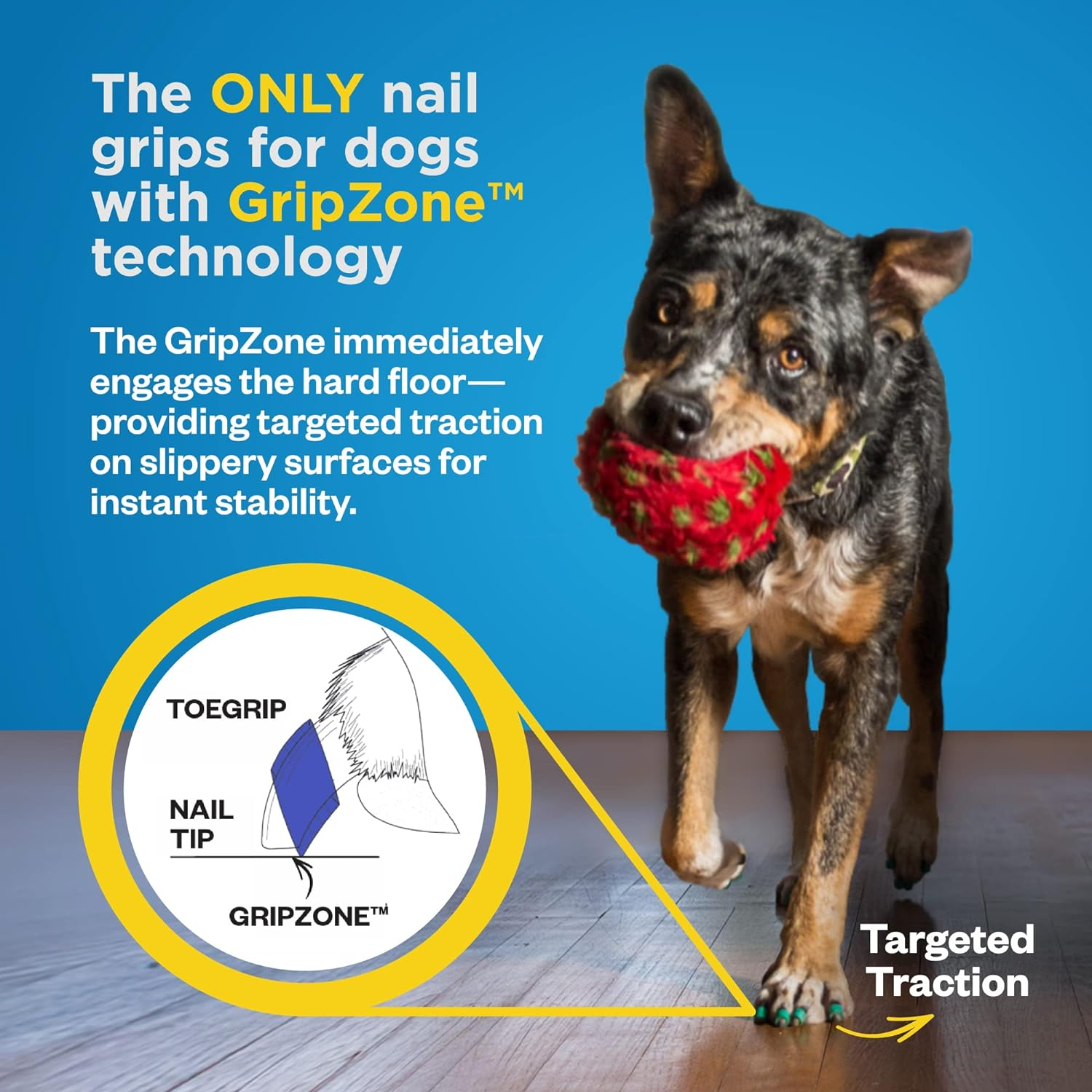 Dr Buzby'S Large Toegrips for Dogs - Instant Traction on Wood/Hardwood Floors - Anti-Slip Relief for Senior Dogs - Stop Sliding Instantly - Rubber Nails - 1 Pack (20 Grips)