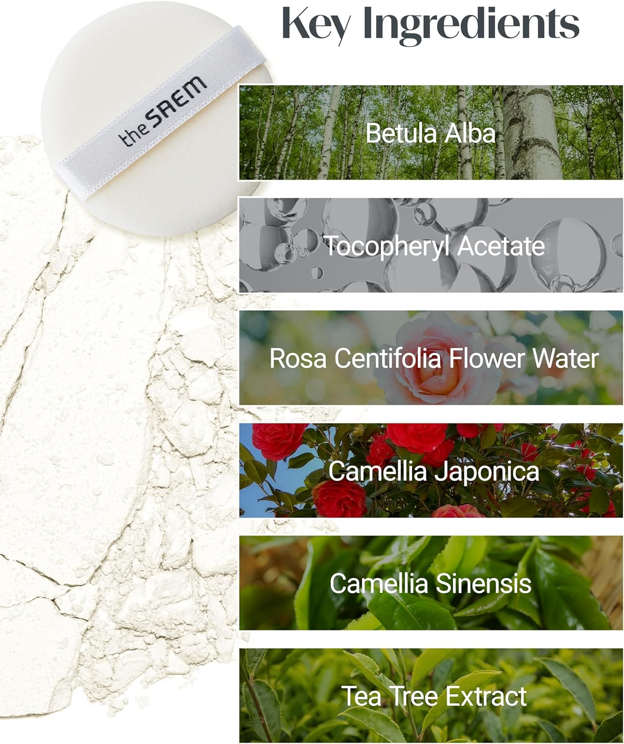 THESAEM Sebum Control Makeup Pressed Powder Pact, Pore Minimization, Plant-Based Setting Finishing Powder to Absorb Sweat and Prevent Clumps, with Mirror and Puff - Saemmul Perfect Pore Pact 12G