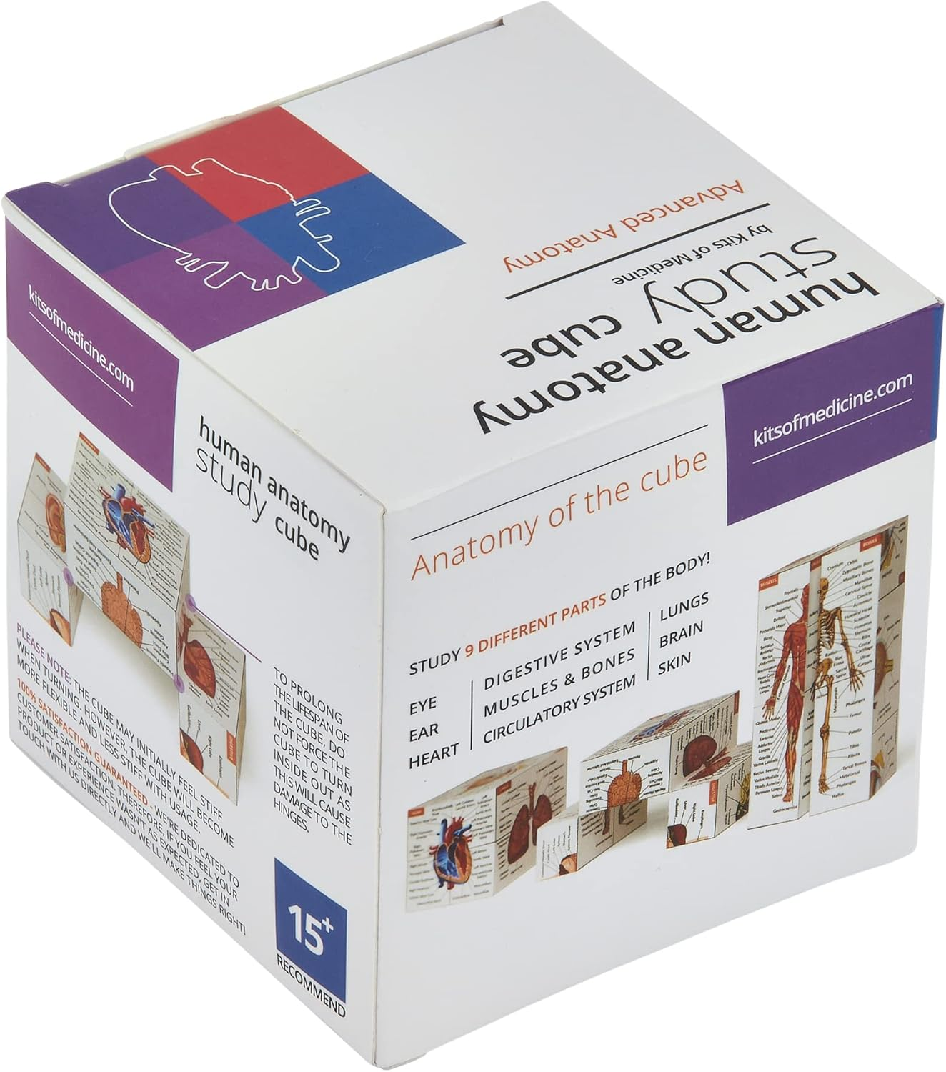Human Anatomy Study Cube | Study 9 Parts of the Human Body | Perfect Anatomy Revision Guide | Addictive Anatomy Model Cube | Great Gift for Nurse, Dentist, Medical Students image number 2