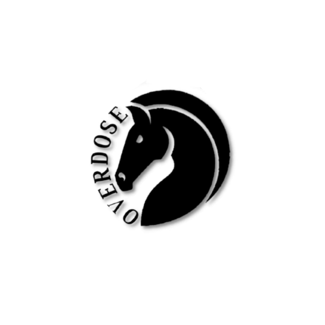 OVERDOSE LJ BROWN with Stone Leather Journal - Handmade Office Bound for Men & Women | Sketchbook| Notebook Diary - 5 X 7 Inches | 12 X 17 Cm | A6 image number 4