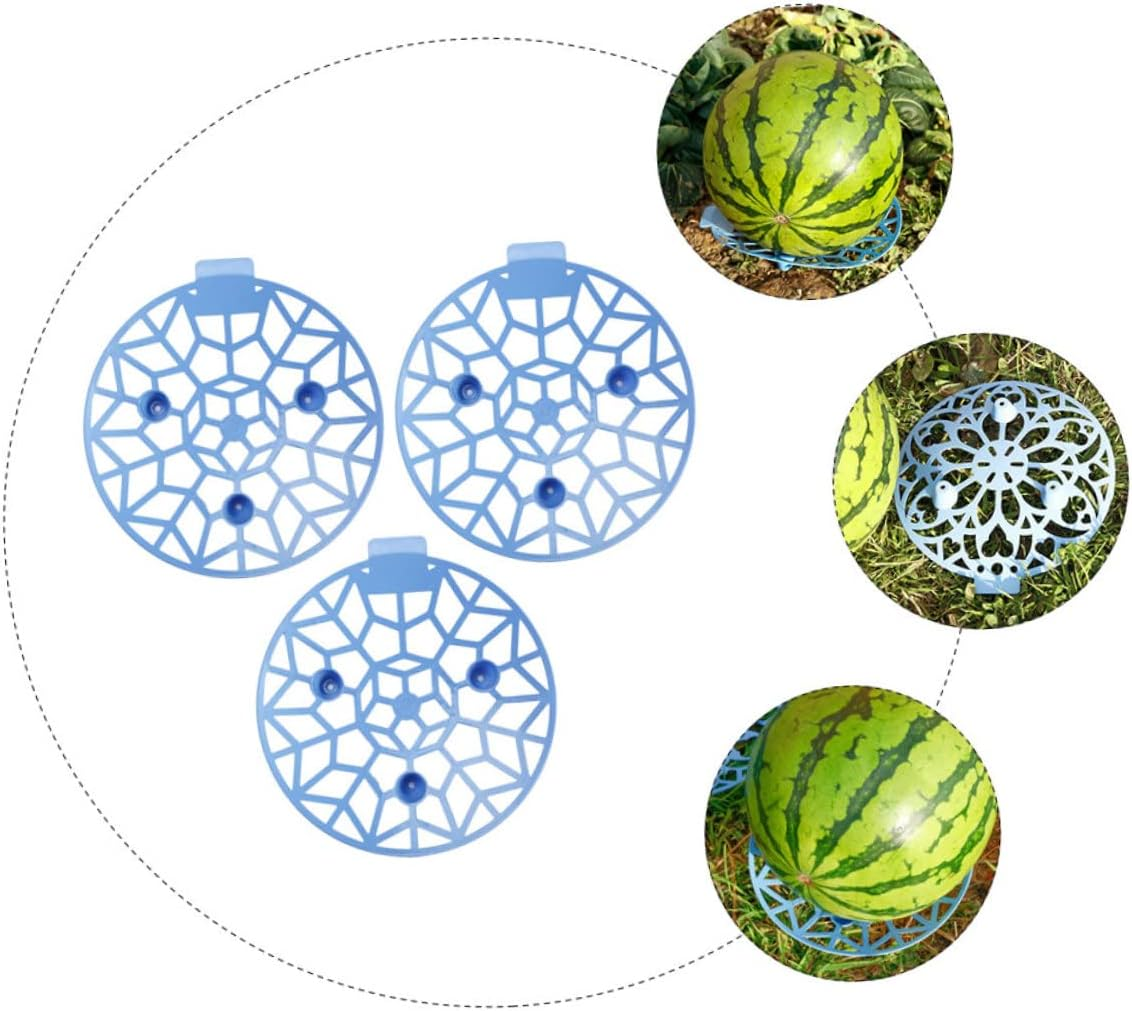 FONDOTIN 3Pcs Fruit Tray Corrosion Plastic Support Tray for Gardening and Fruit Storage No Installation Required image number 6