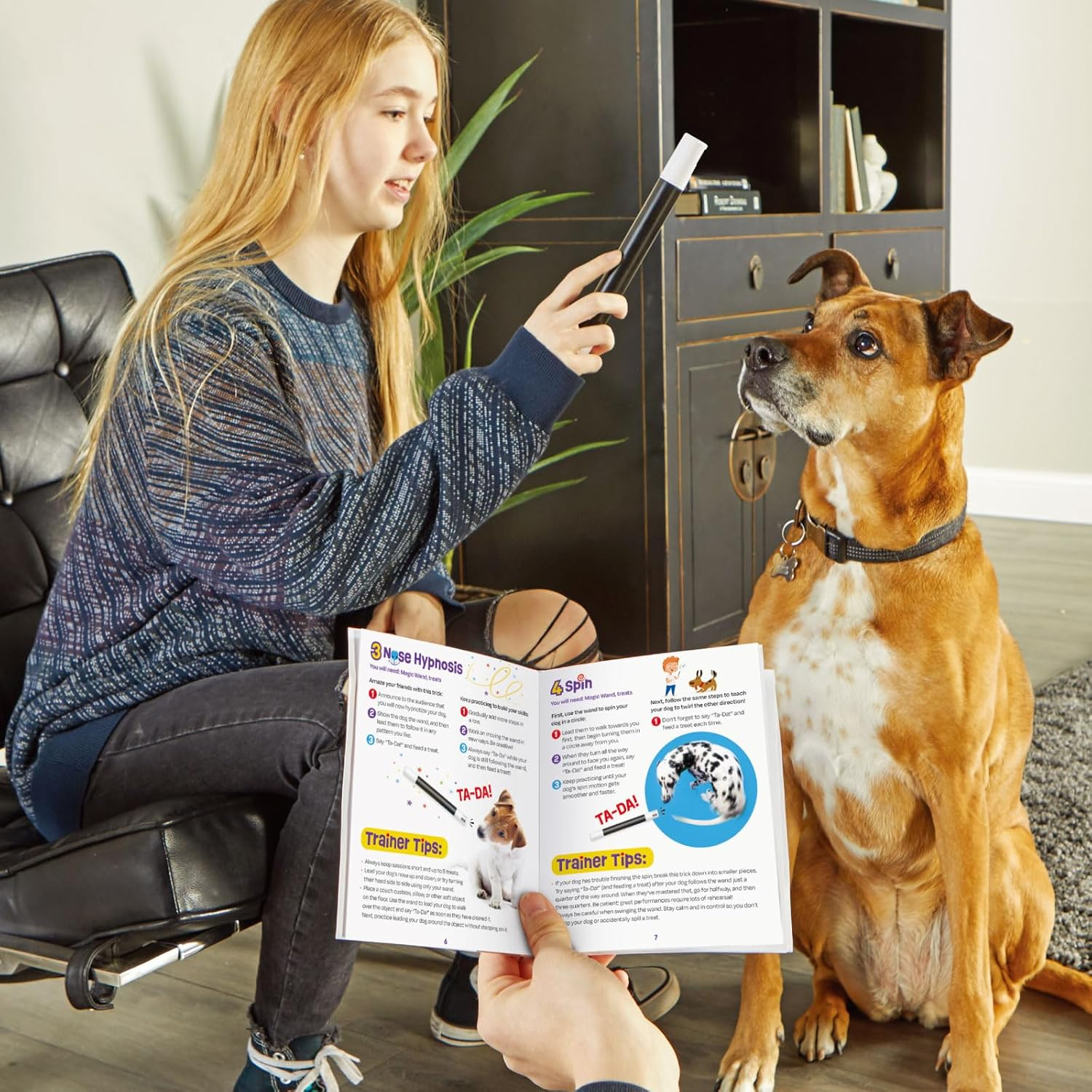 Brightkins Dog Magic! Training Set, Dog Training, LER9364-J, Japanese Version, Authentic Product image number 1