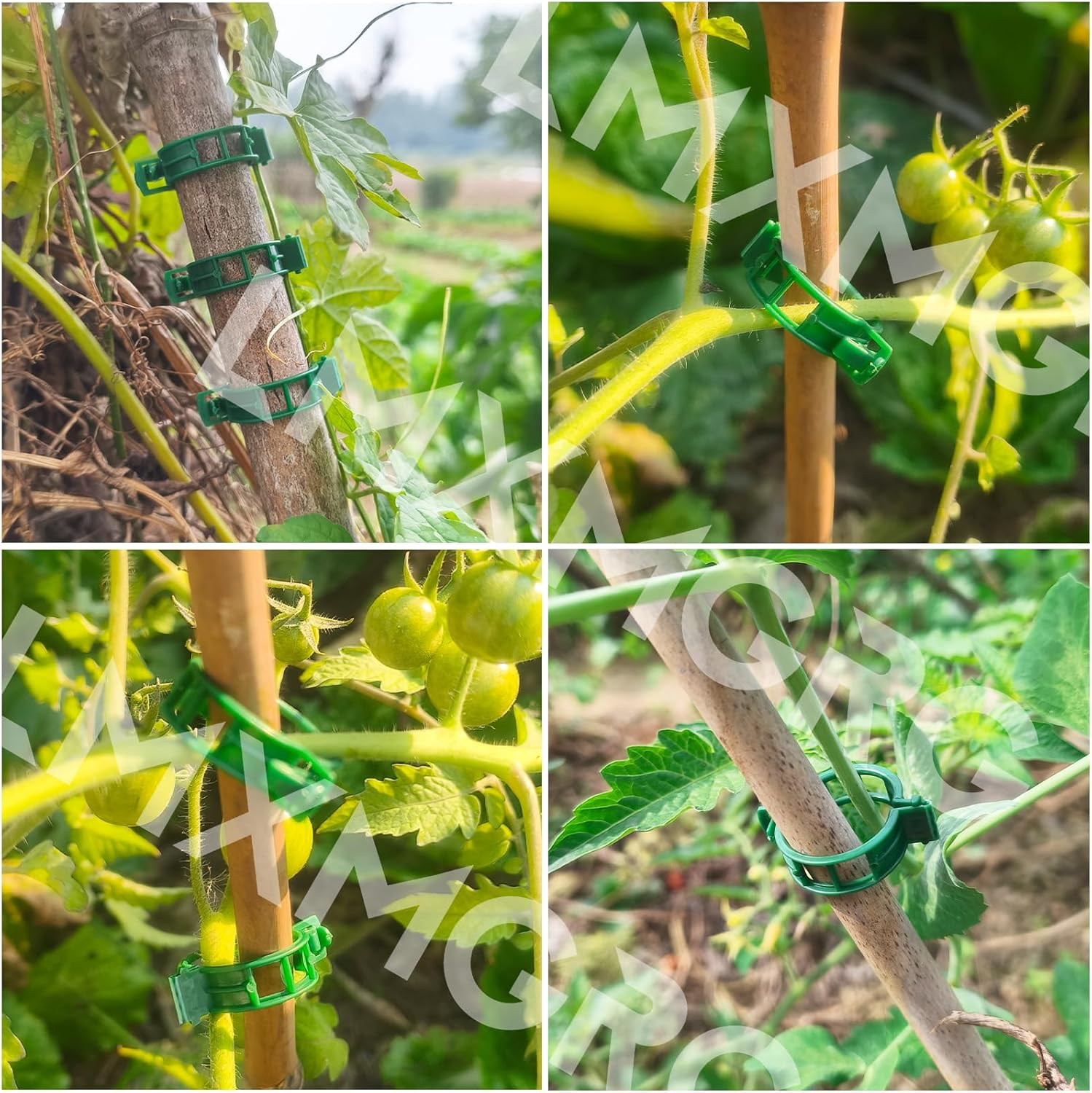 LMXMGRG Tomato Clips for Support 100Pcs,Plant Vine Clips for Climbing Plants,Small Plant Clips for Outdoor 2024 Upgrade image number 1