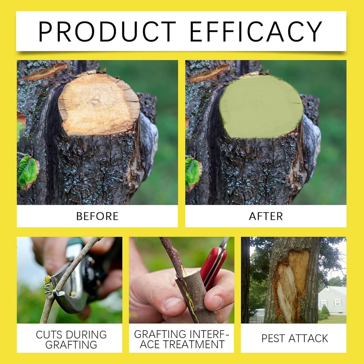 Grafting Tree Sealer | Tree Trunk Paint Sealer after Cutting,100G Weatherproof Paste with Brush, Trunk Dressing Supplies for Home Gardening Bonsai Agriculture image number 6