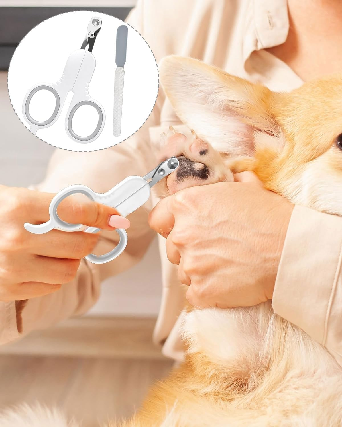 MYGLOAR Pack of 2 Nail Clippers, Cat Scissors, Great for Beginners, Excellent Claw Scissors, Great for Hands, Cat Nail Clippers Are Very Easy and Safe to Use (White) image number 1