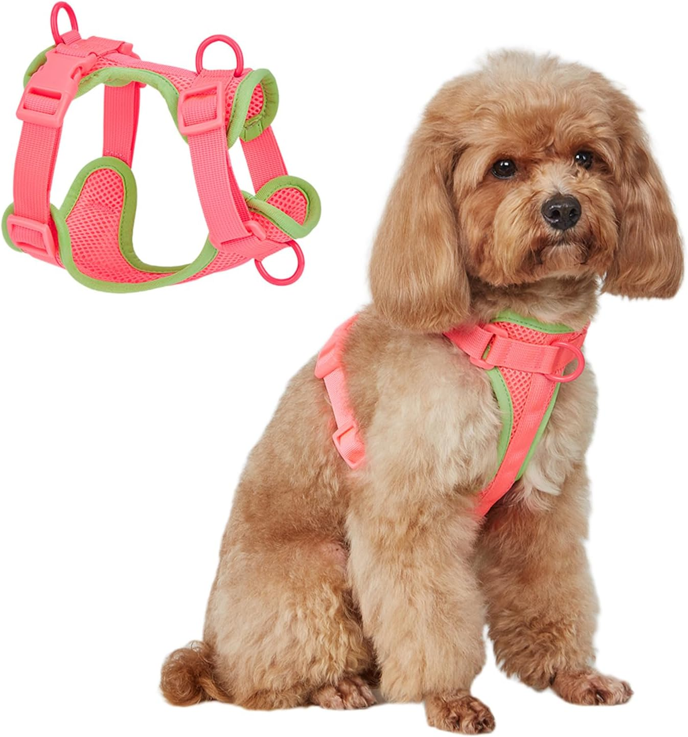 IUOUTG No Pull Lightweight Dog Harness Cute Cat Harness with Breathable Mesh Padded Soft Adjustable Puppy Harness Girl Pet Vest Harness for Small Medium Large Dogs (Purple,S)