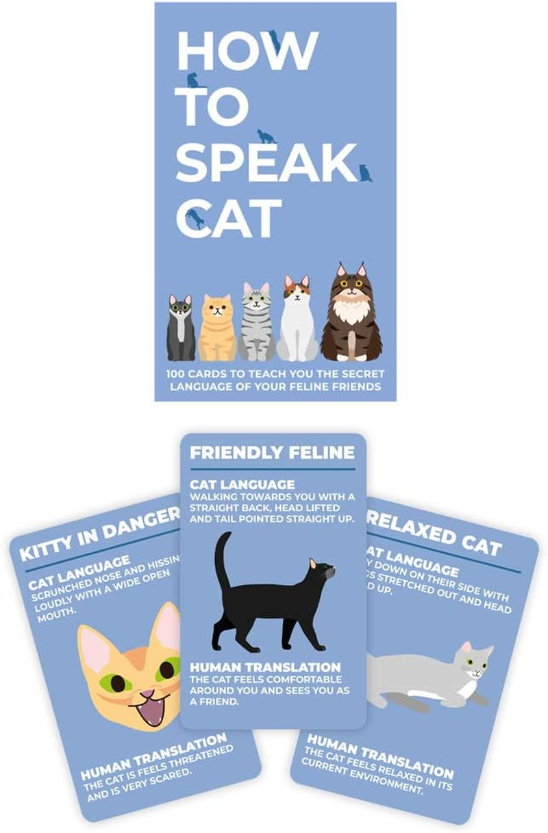 Gift Republic How to Speak Cat Cards image number 3