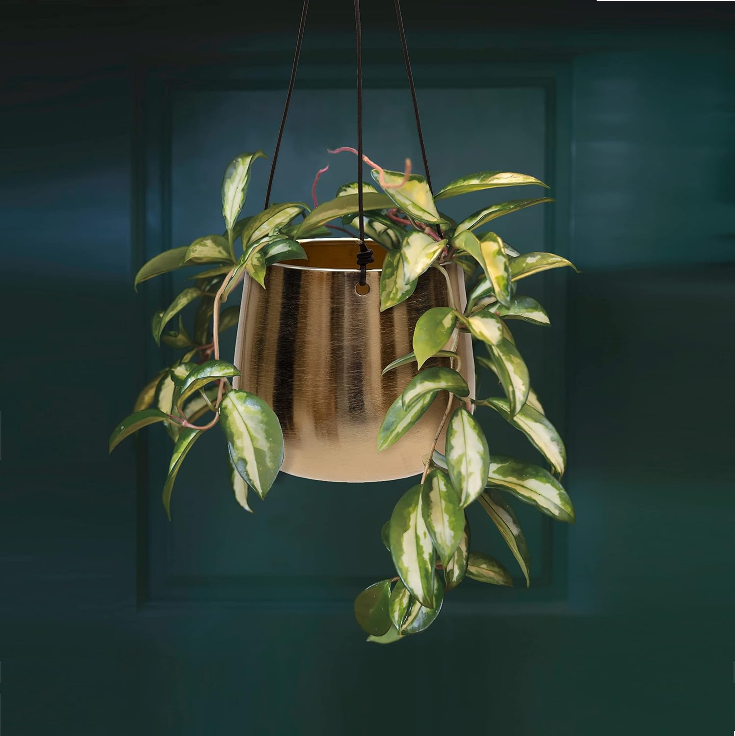 Olly & Rose Gold Hanging Plant Pots Set 2 (Large) image number 4