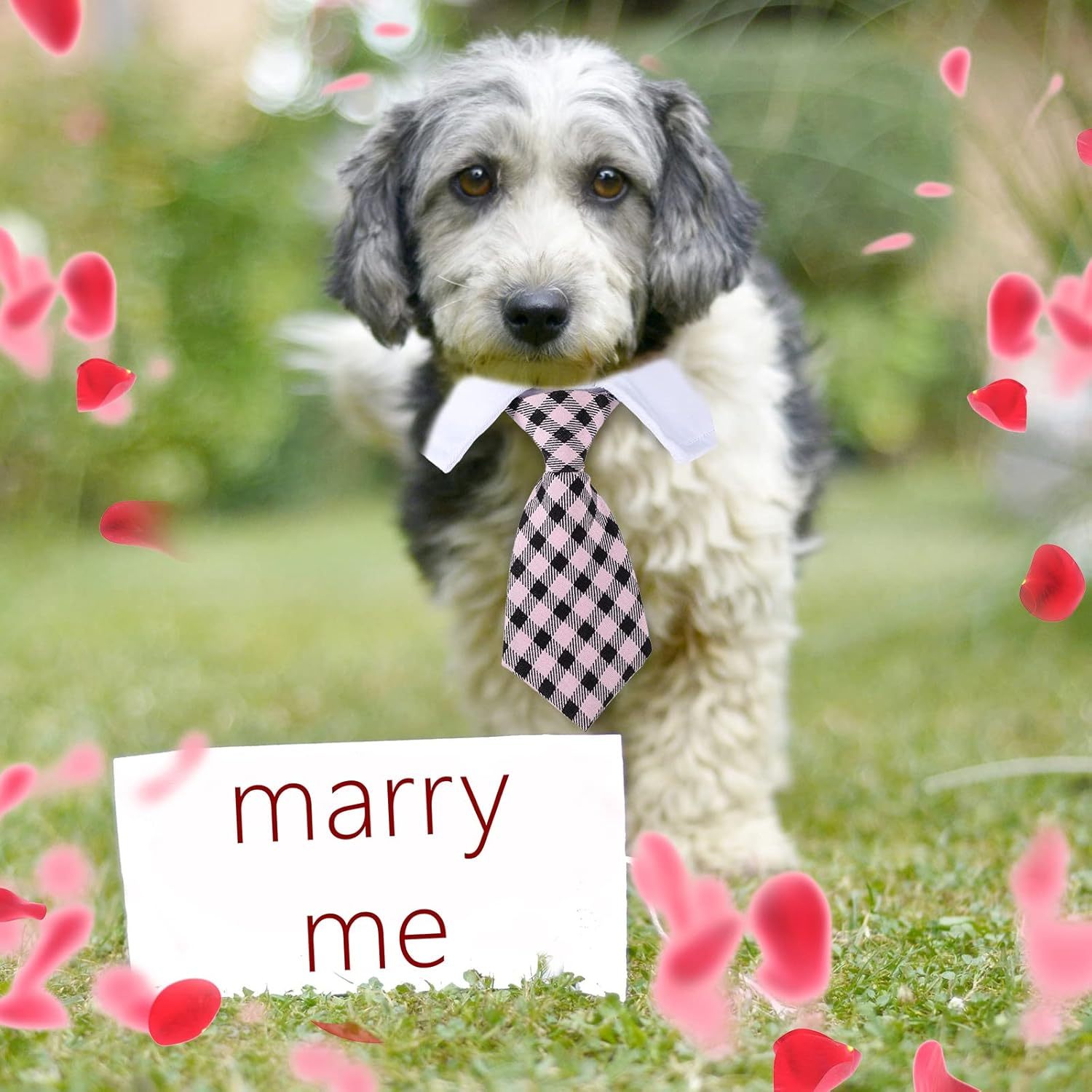 Saintrygo 4 Pieces Cat Dog Tie with Collar Adjustable Puppy Pets Formal Necktie Collars Cat Dogs Bow Ties for Small Pets Grooming Costume Accessories image number 4