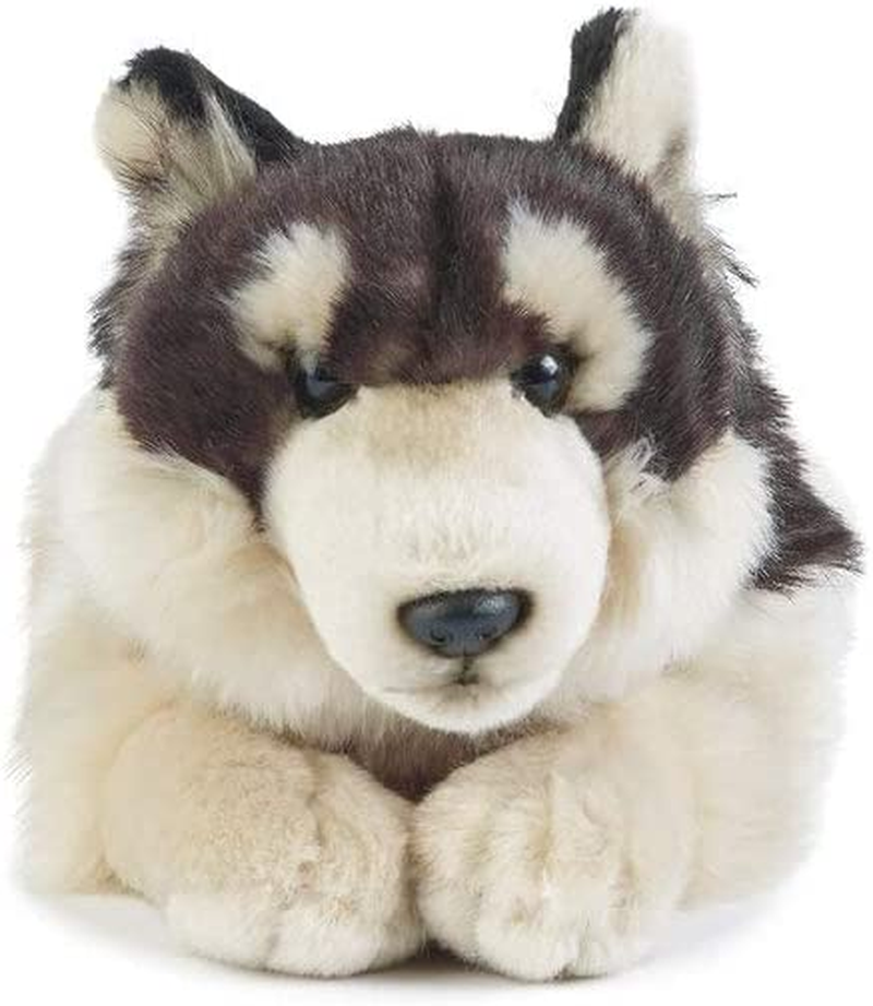Living Nature Realistic Wolf Plush Toy, 35Cm Soft Stuffed Animal with Wildlife Educational Tags, Lifelike Design for Kids and Collectors image number 4