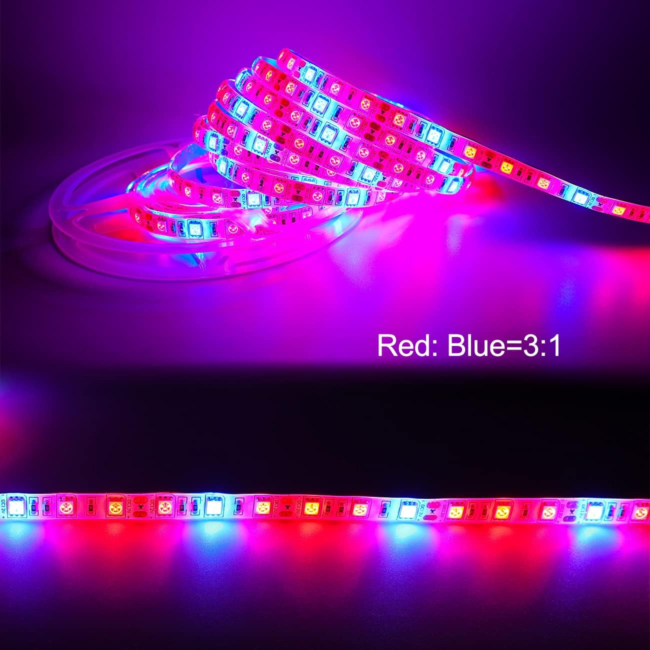 Tesfish LED Plant Grow Strip Light DC 12V IP65 Waterproof Full Spectrum SMD 5050 Red Blue 3:1 Rope Lights for Aquarium Greenhouse image number 1
