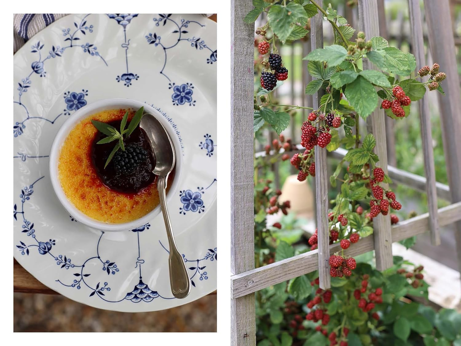 French Kitchen Lessons: Recipes & Stories from Normandy'S Rabbit Hill Farm image number 3