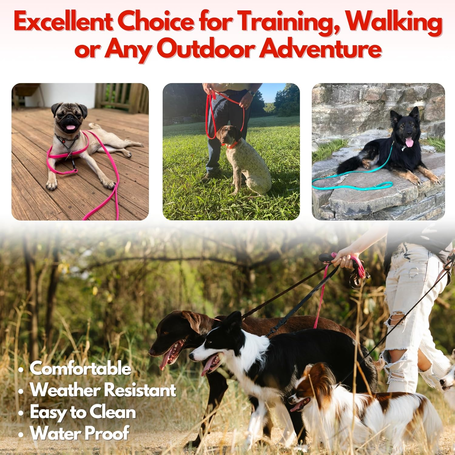 Jimhodgesdogtraining Gummy Dog Leash, Biothane, Dog Training Leash, Made in the USA, 6 Feet, Various Sizes & Colors image number 3