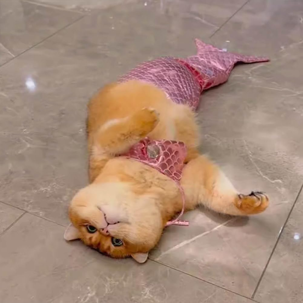 Cat Mermaid Costume, Cat Mermaid Outfit, Mermaid Costume for a Small Dog or Cat, Cat Mermaid Fishtail Decoration Clothes, Mermaid Cat Birthday Outfit, Creative Funny Photo Props (Red, L(5KG-10KG)) image number 4