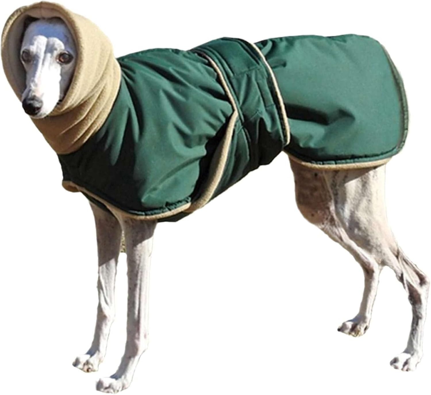 IUOUTG Greyhound Warm Jacket Waterproof Whippet Coat Dog Winter Coat with Warm Fleece Lining with Adjustable Bands Italian Greyhound Clothes for Medium Large Dogs