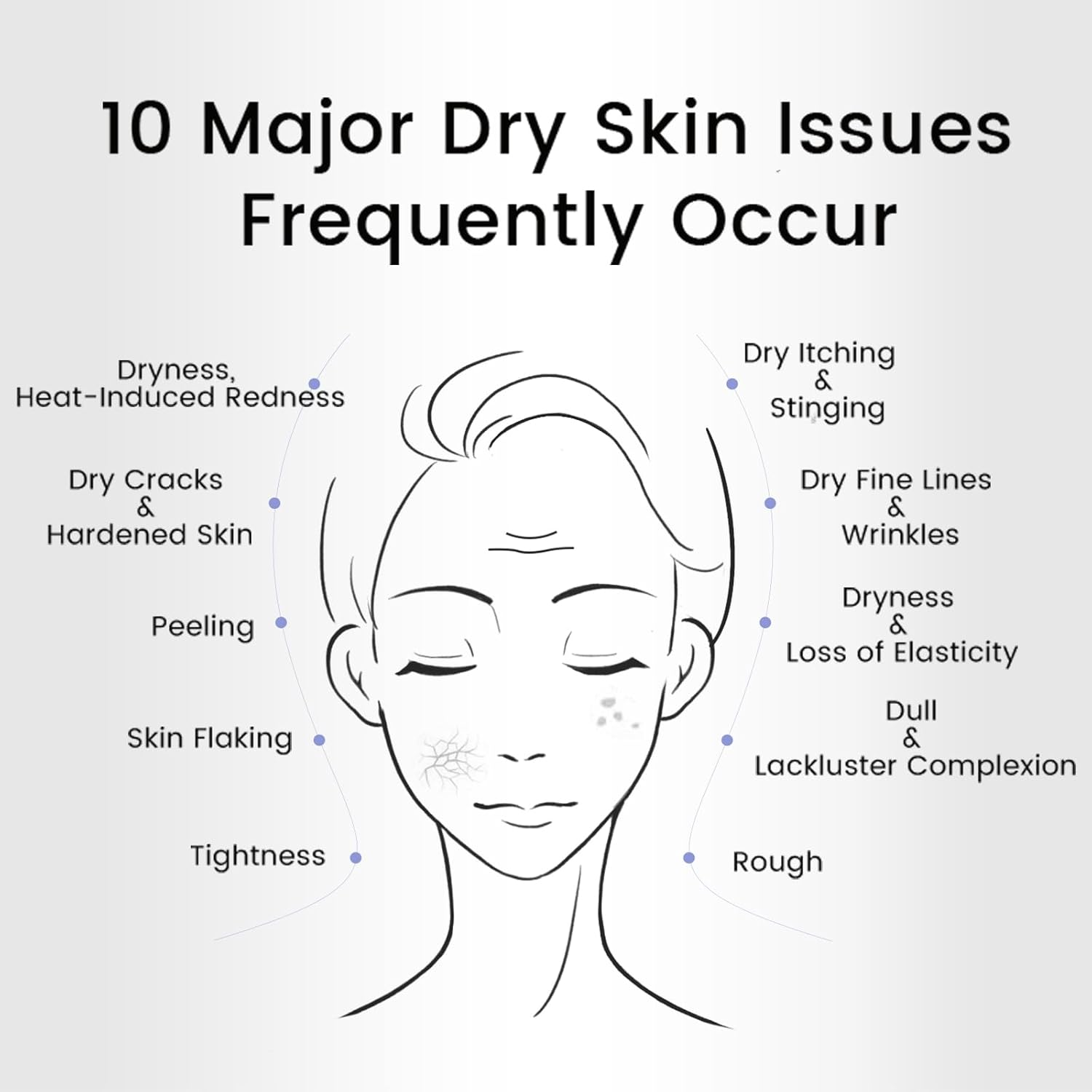 WINONA Moisturising Cream for Dry & Sensitive Skin, Deep Hydration & Barrier Repair with Portulaca Oleracea Extract, Ceramide and Vitamin E, Soothing Face Moisturiser for Daily Use, 80G image number 2