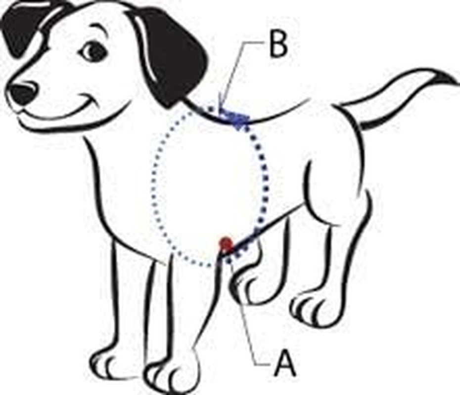 The Original Sense-Ation No-Pull Dog Training Harness (Blue, Extra Small)