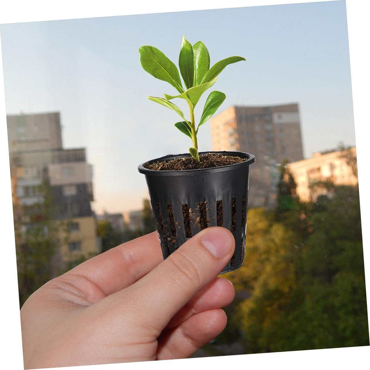 IWOWHERO Hydroponic Net Pots and Plastic Planting Baskets for Aquatic Plants, Black Slotted Mesh Nursery Pots 5.7X5Cm, 100Pcs Suitable for Pond and Water Culture Gardening