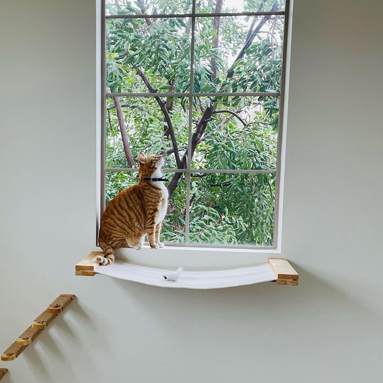 FUKUMARU Wall Furniture, 36 &times; 13 Inch Cat Hammock for DIY Shelves and Wall, for Most Kitten, Medium and Large Cats image number 3