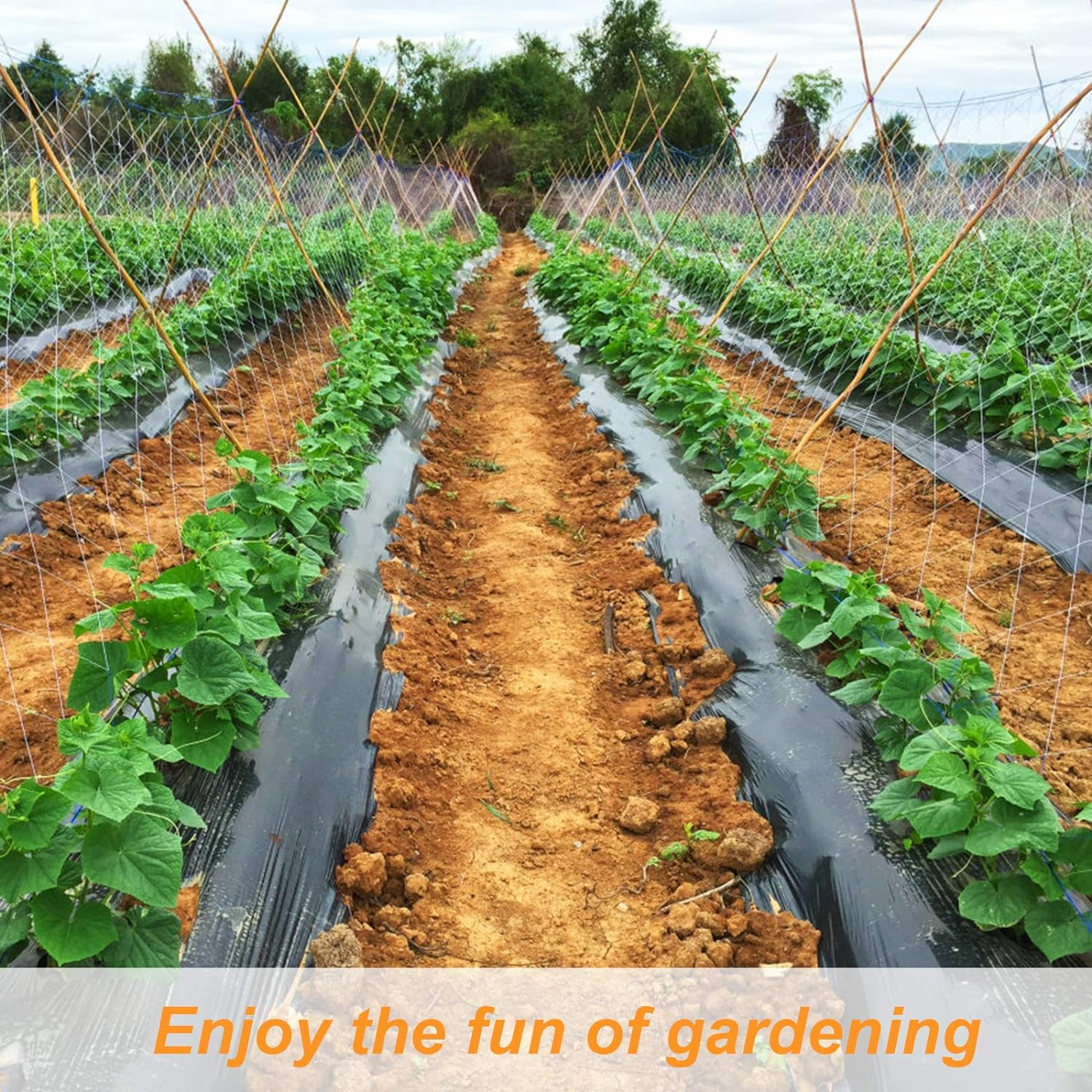 Betybedy 5 X 15FT Trellis Netting, Heavy-Duty Polyester Plant Trellis Netting, Square Mesh Net for Climbing Plant, Fruits, Vegetables, Vines, Grow Tents (1 Pack, White)