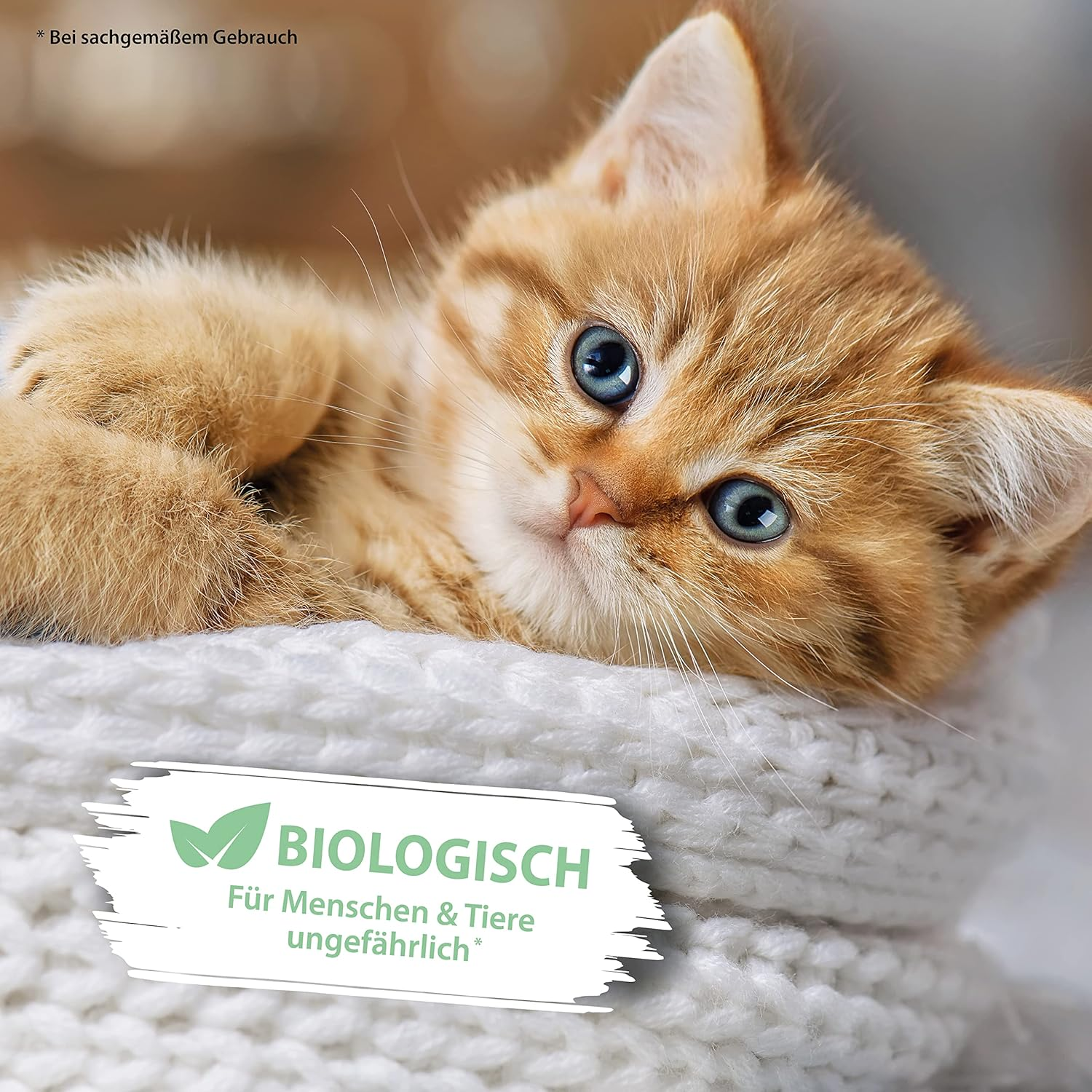 Pipi-Weg Cat - Biological Odour Remover & Stain Remover Spray - 100 Ml - against Cat Urine, Faeces & Vomit - Deep Pore Cleaning in the Home & Animal Area - for Cat Litters image number 4