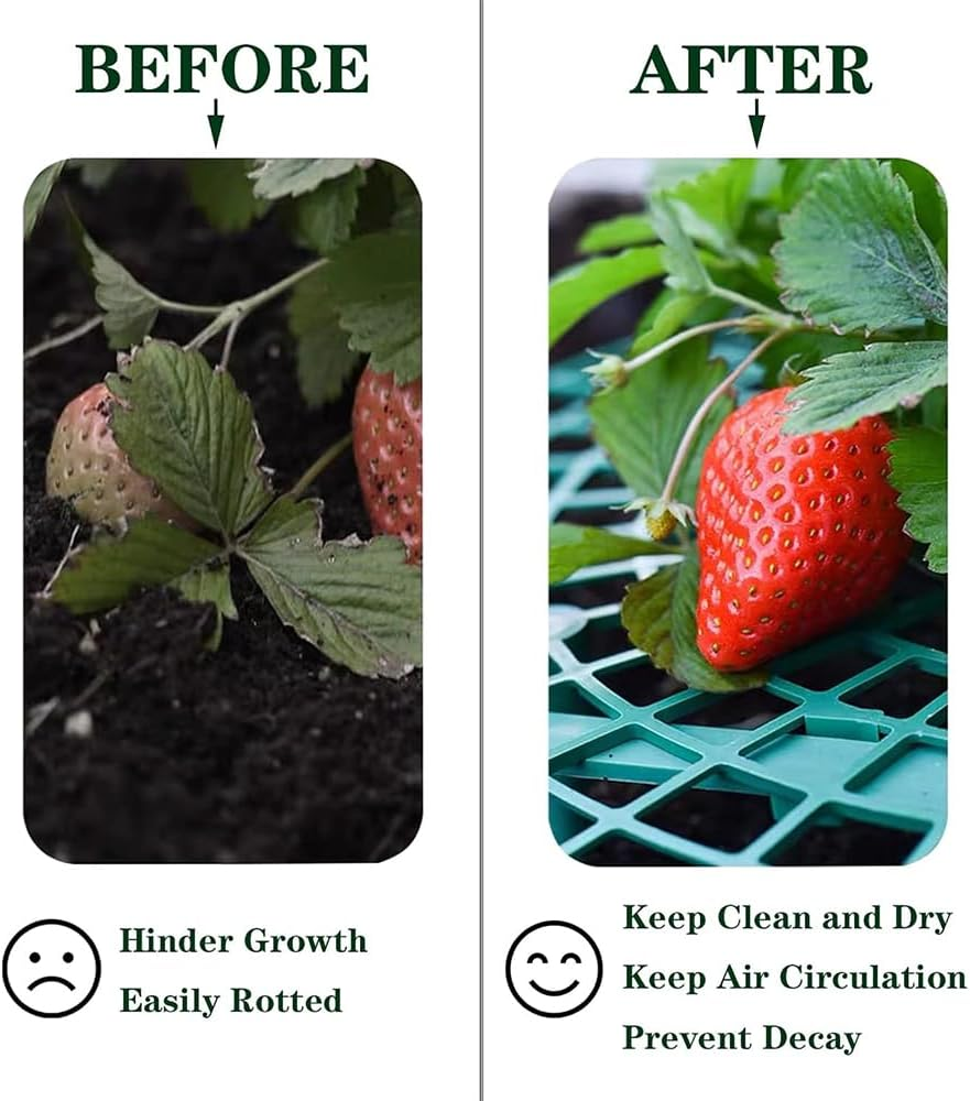 4 Sets Strawberry Plant Support with Mesh Plant Cover,Strawberry Growing Racks Sets with Iron Plant Nails and Storage Bag Planting Stand for Garden Vegetables image number 5