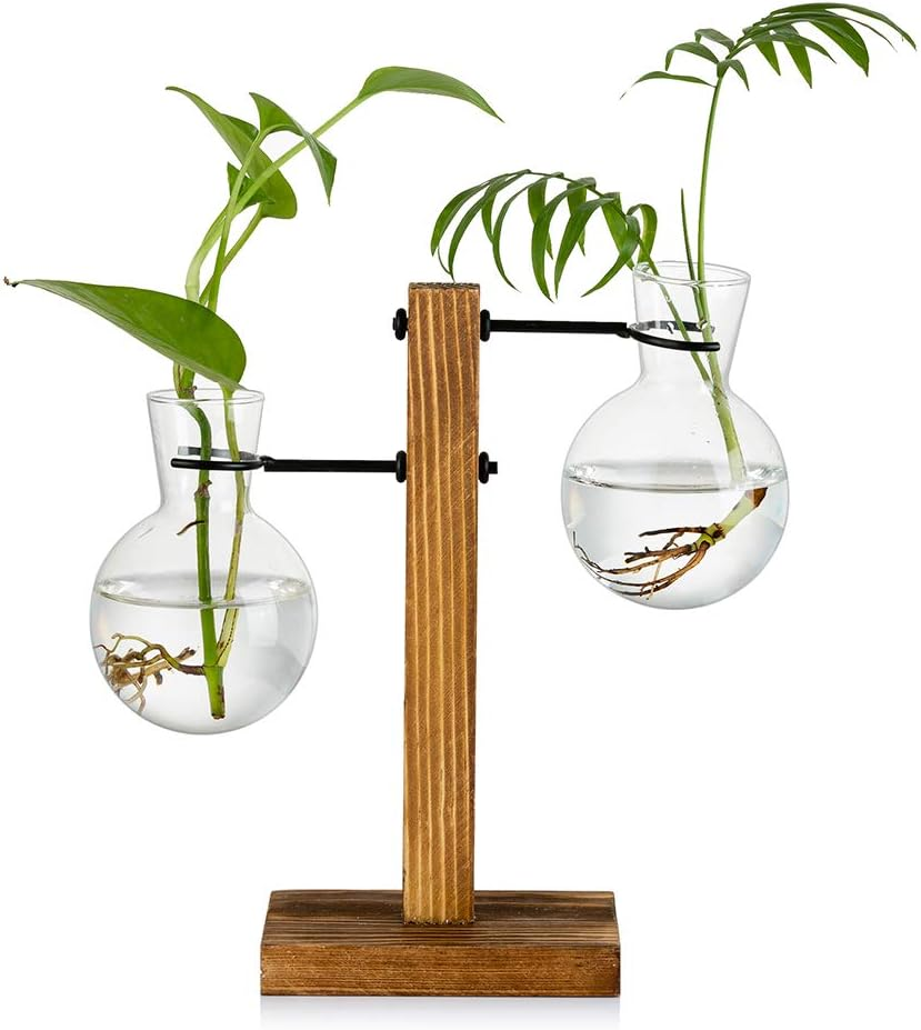 Glasseam Plant Propagation Station Glass Terrarium Cute Propogation Stations Hydroponic Vase Bulb Planter for Indoor Plants Desktop Propagated Jars for Home Office Decor Birthday image number 1