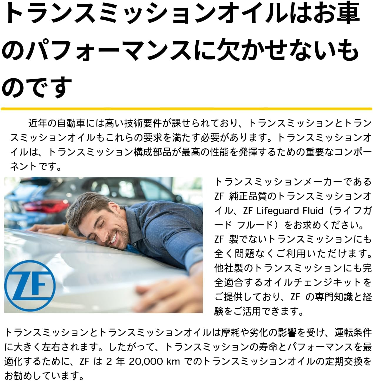 ZF (ZF) ATF Oil Automatic Transmission Fluid Lifeguard Fluid 6.1 ATF 1L VOLKSWAGEN, PORSCHE, AUDI 5961.308.623 image number 2