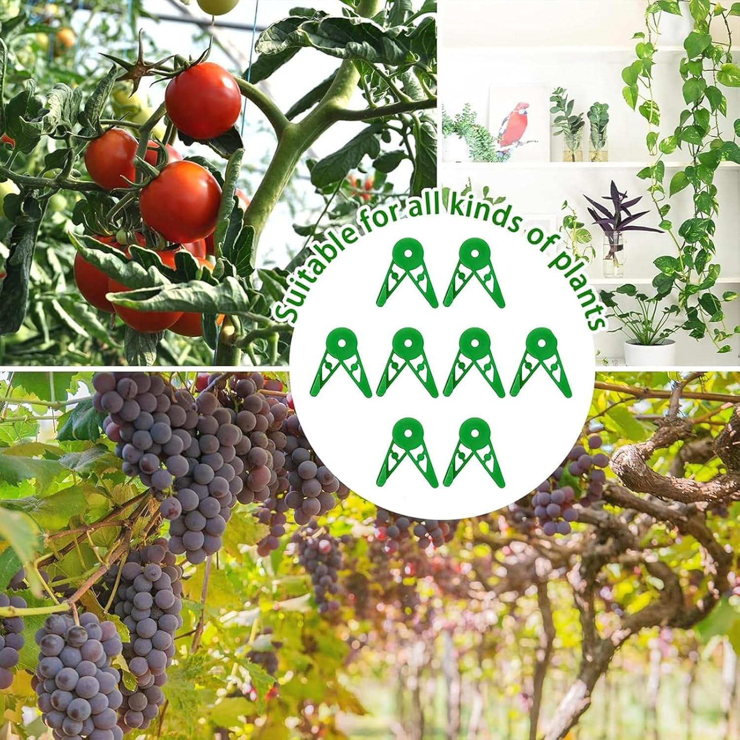 50 Pcs Low Stress Training Clips - 360&deg; Adjustable LST Plant Bender Clips for Branches & Vines, Reusable Plant Training Tools for Garden, Indoor & Outdoor Plants (Green) image number 4