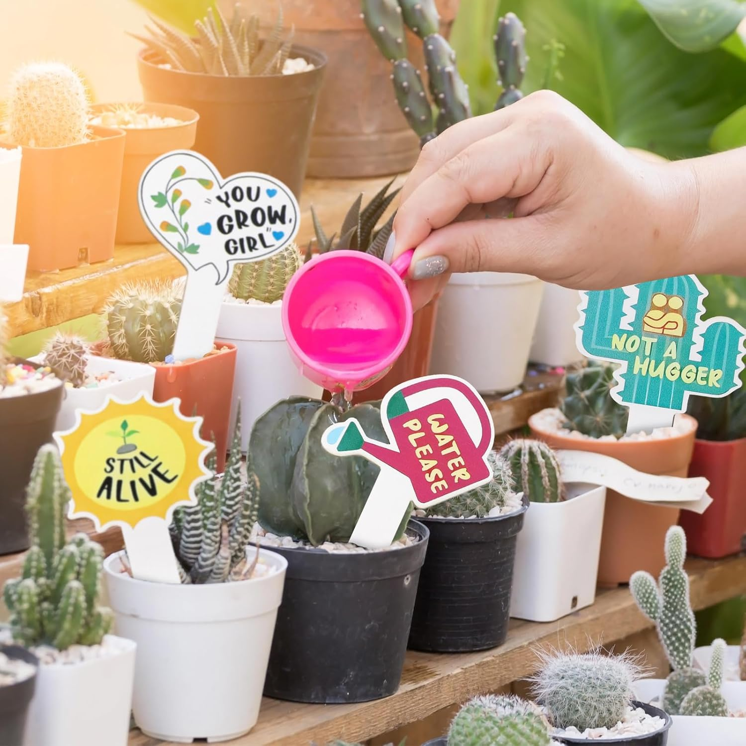 GEEHUA 15Pcs Funny Wooden Plant Markers, Garden Plant Labels Tab Cute Patterns Plant Signs for Succulent Flowers Greenery Seedling Plants Waterproof Plant Tags for Outdoor Indoor Patio Supplies image number 1