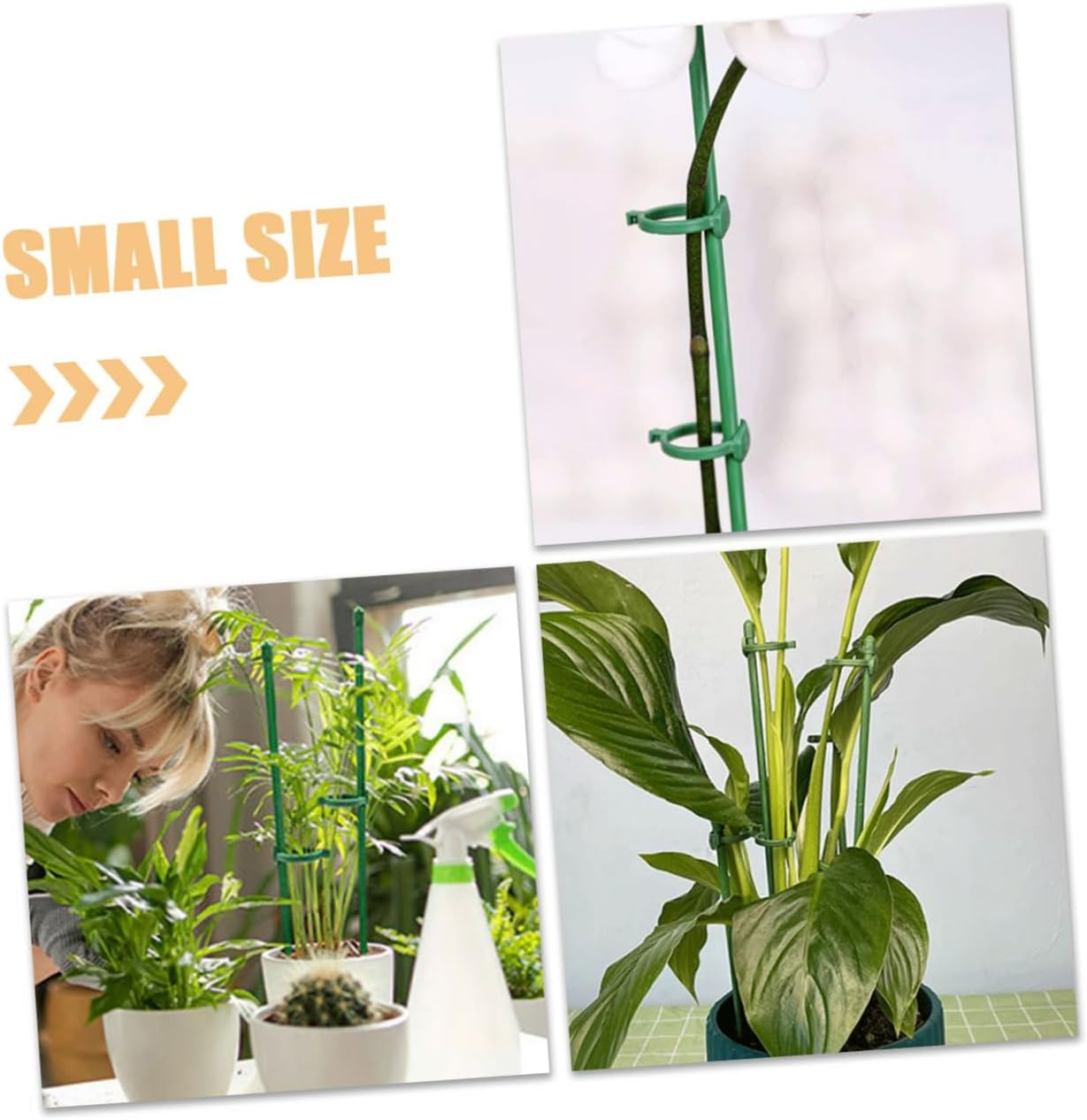 12Sets Garden Single Stem Support Stake Plant Cage Support Stakes for Vegetable Plant Support Stakes Flowers for Hanging and Peony in Your Gardening Supplies image number 4