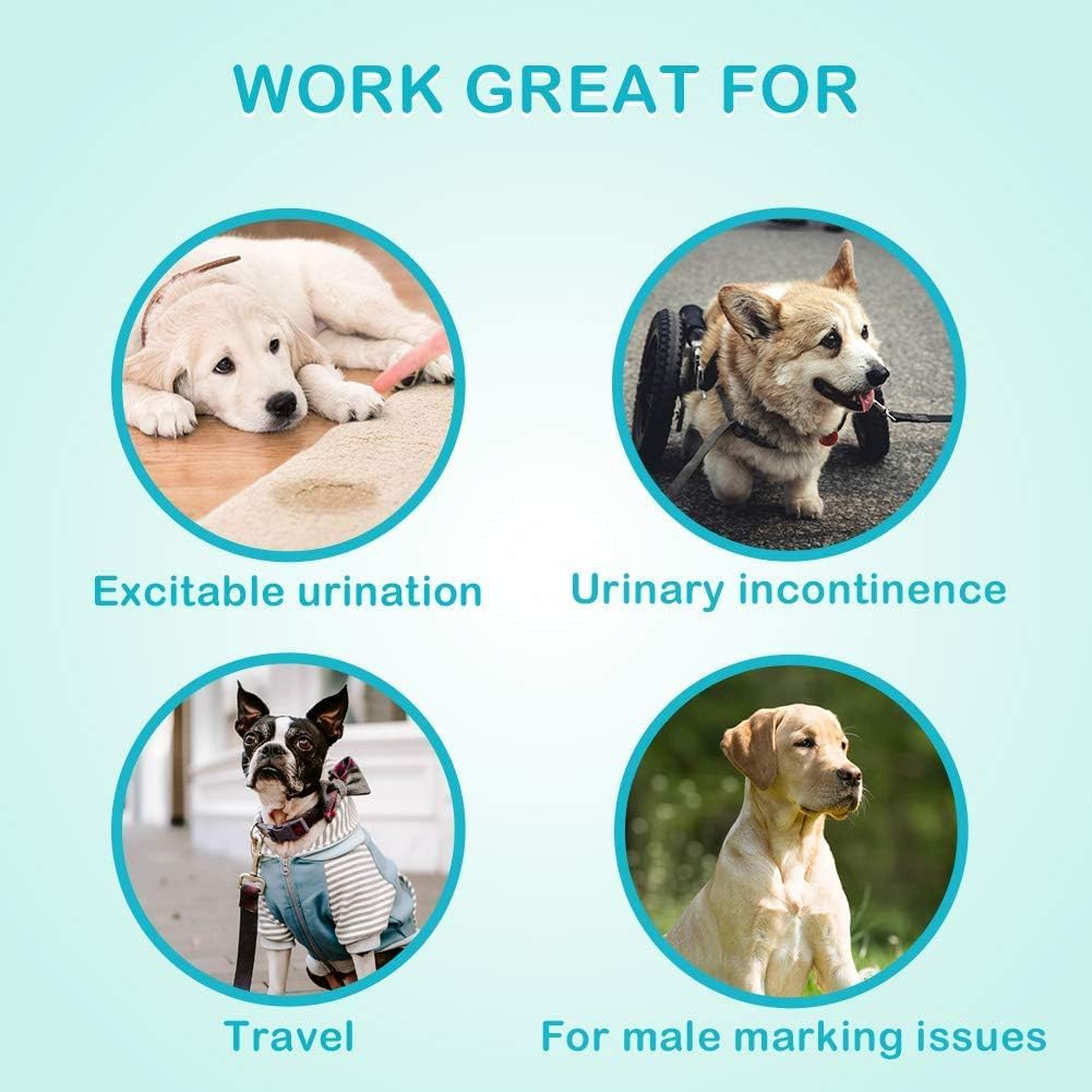 Dog Diapers Male, Disposable Male Dog Wraps Pack of 50, Ultra Absorbent Doggie Diapers, Rapid-Dry Leak-Proof Puppy Diapers, Wetness Indicator Excitable Urination Incontinence, Medium