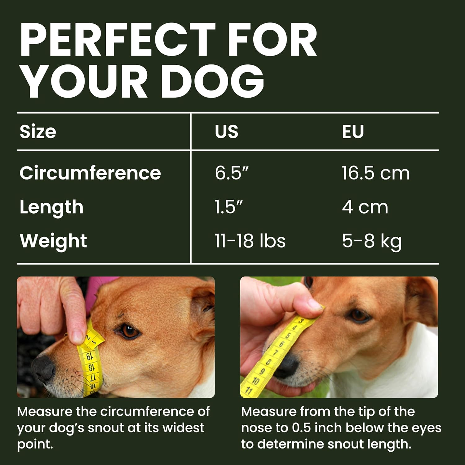 Bronzedog Wire Basket Dog Muzzle Jack Russell Terrier Metal Leather Adjustable Puppy Small (2XS) image number 3