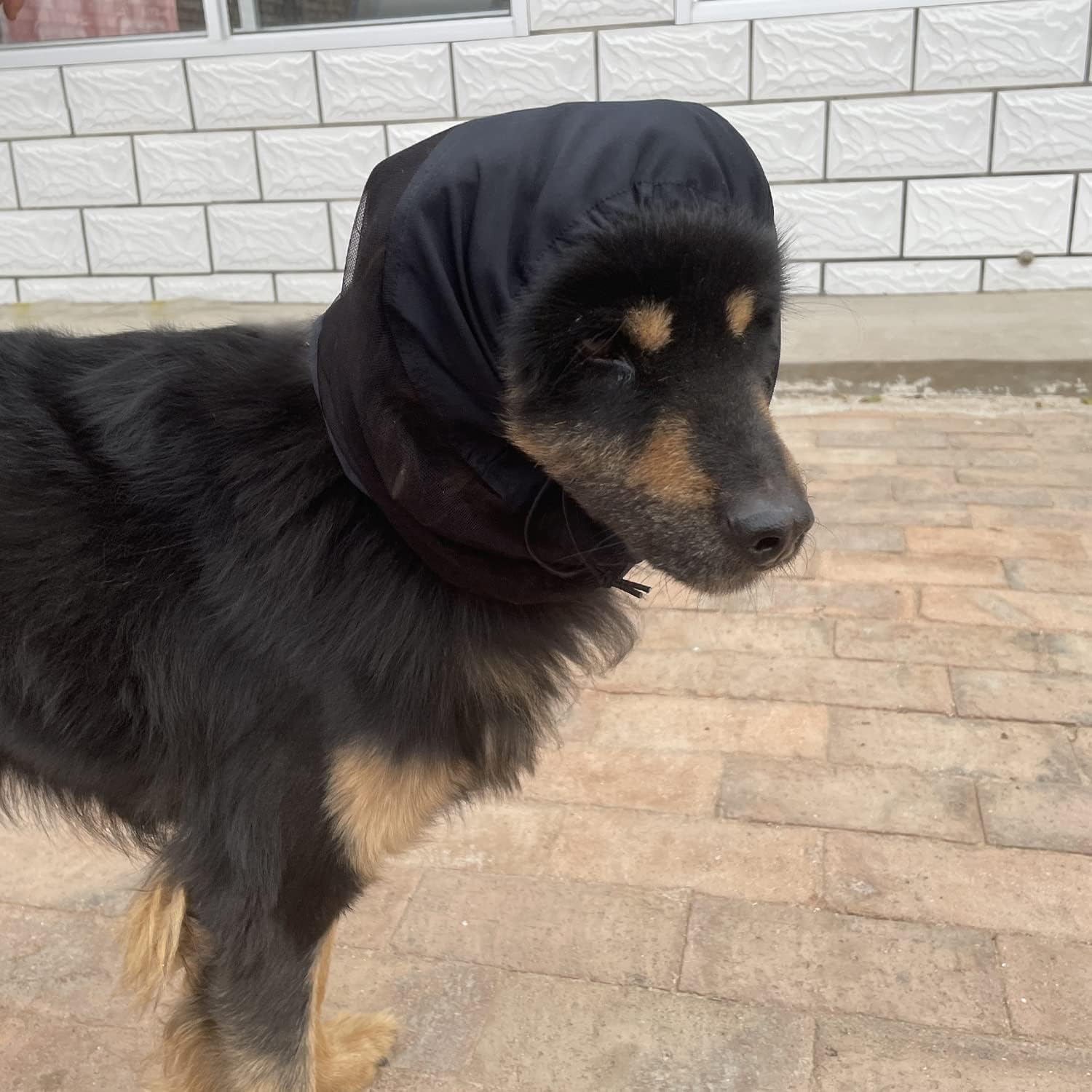 2 Pack Breathable Dog Snood Longears Dogs Net Snood Dog Ear Cover for Cocker Spaniel Cavalier Poodle Basset (L) image number 4