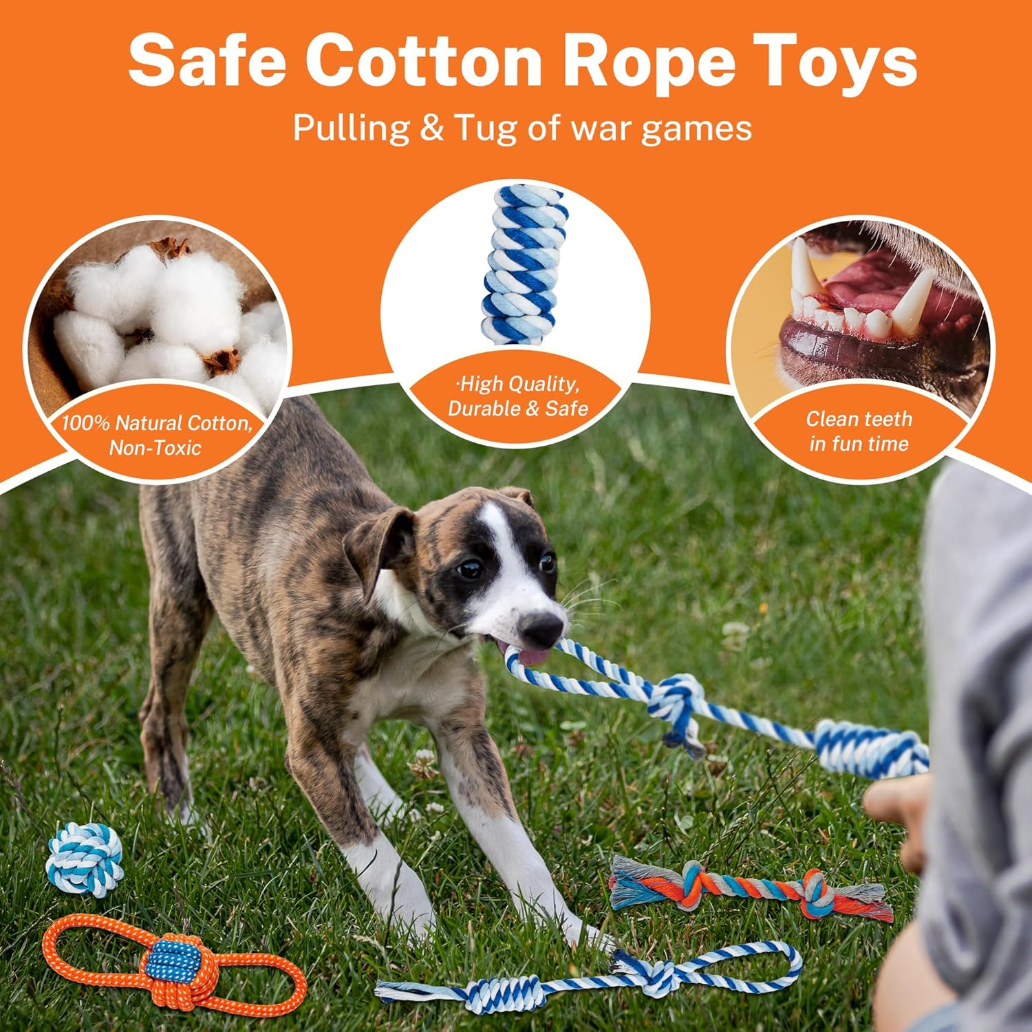 Toozey Dog Toy Small Dogs, Pack of 8 Puppy Toys, Intelligence Chew Toy and Squeaky Durable Dog Rope, Natural Cotton & Non-Toxic, Relieve Stress and Boredom image number 5