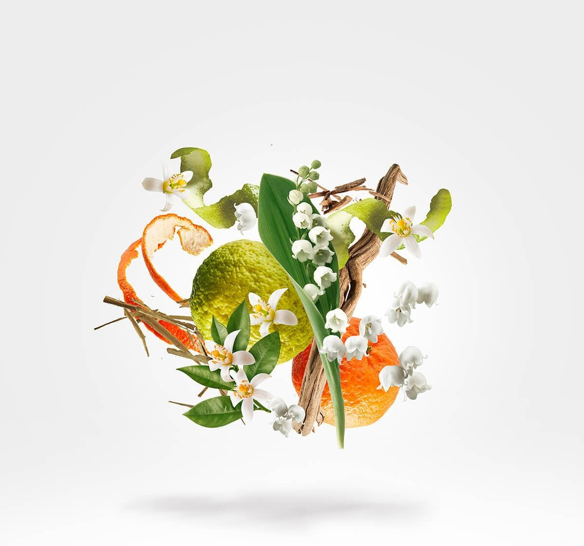 Xerjoff 1861 Renaissance Eau De Parfum Spray for Unisex 100 Ml image number 5